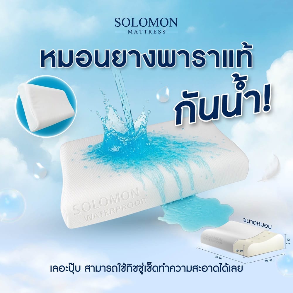 หมอนยางพารา SOLOMON ผ้ากันน้ำ รุ่น LATEX WATERPROOF_7